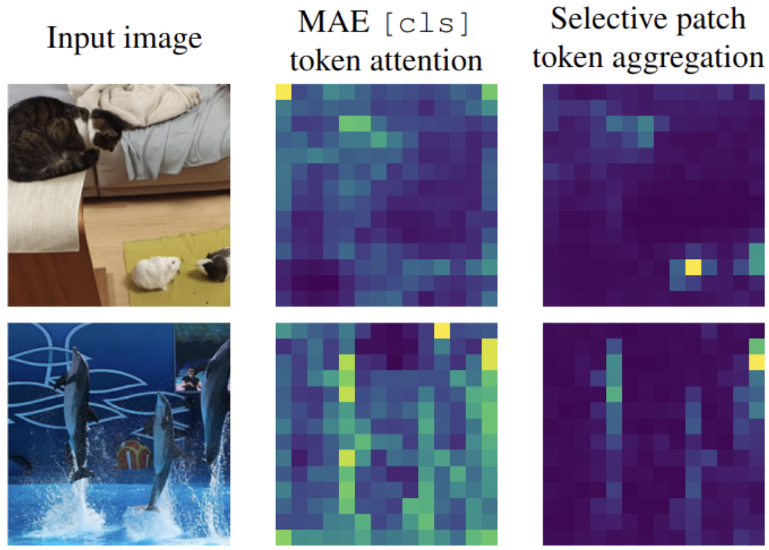 Beyond [cls]: Exploring the true potential of Masked Image Modeling representations